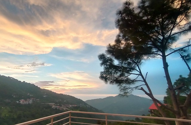 FOUR SEASONS KASAULI 3-bedroom apartment in charming Kasauli