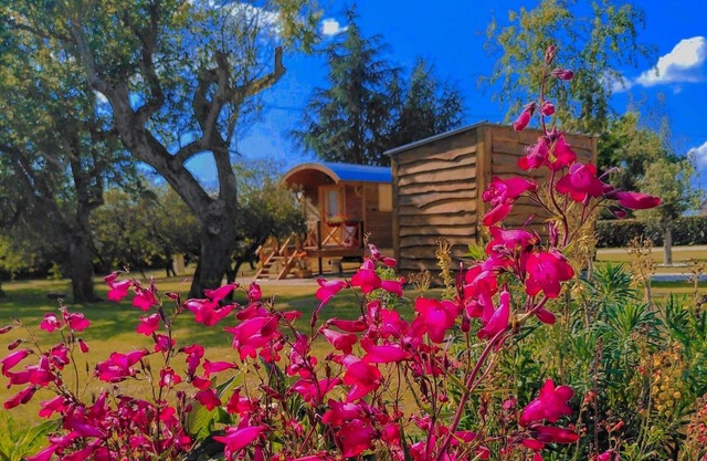 Authentic caravan with heated pool and breakfast included