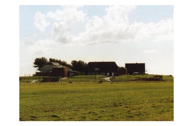 Friesenblau im Haus Schladenhaufen