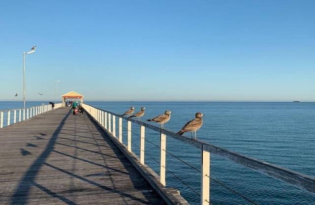 Fully self contained & equipped. Modern and spacious executive townhouse living near the beach.