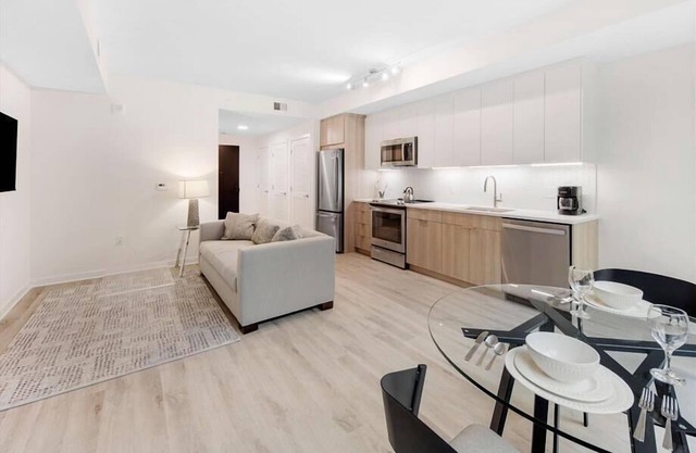 Furnished 1DelBR w/Full Kitchen, Heating & AC | Noma