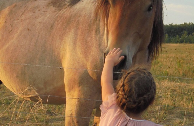 FW Friederike am Plauer See - balcony, boat, beach, view