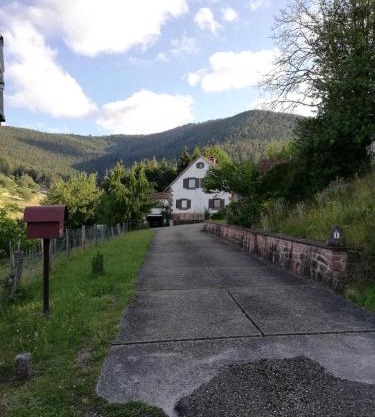 Gîte des abeilles du Kohlberg
