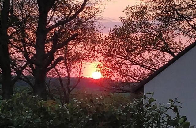 Gîte du Hérisson à la Campagne, au Calme