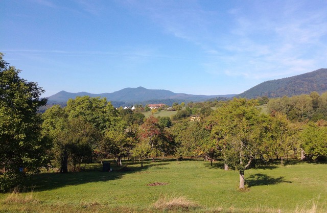 Gîte Le Panoramique near Strasbourg
