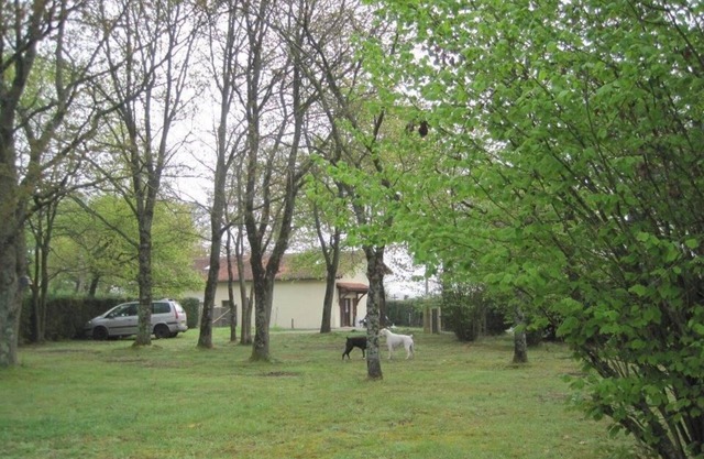 Gîte Les Chênes - Green surroundings