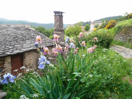 Gîte Maison Cavalier 2/4 personnes à Gabriac