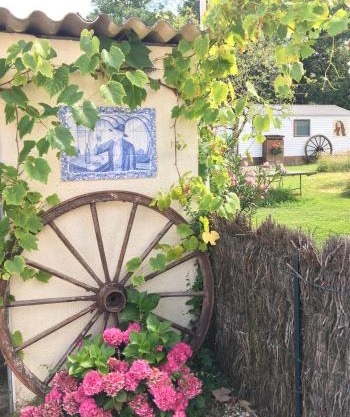 Gîte pura vida
