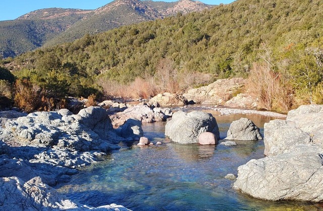 Gîte Rez-de-chaussée - 2 adultes - 1 enfant