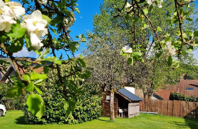 Gîte Rural Alliant L'authentique et le Modernisme. Animaux Acceptés