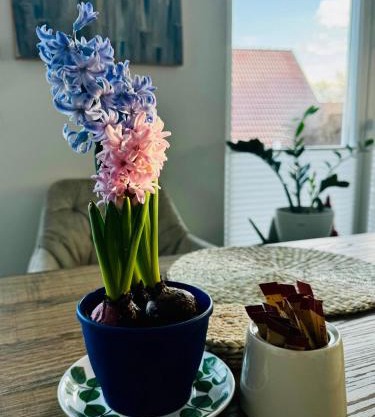 gemütliche Ferienwohnung mit Garten