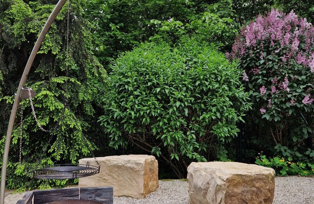 Gemütliches Haus mit Sauna Direkt am Berühmten Felsenweg. Haustierfreundlich!