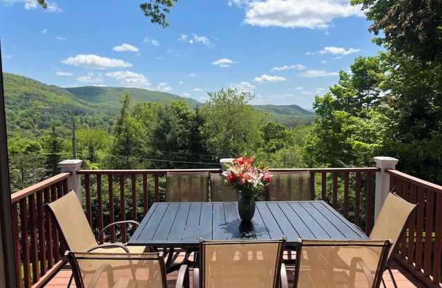 Gem of the Berkshires. Mountain View. Short walk to lake & downtown.