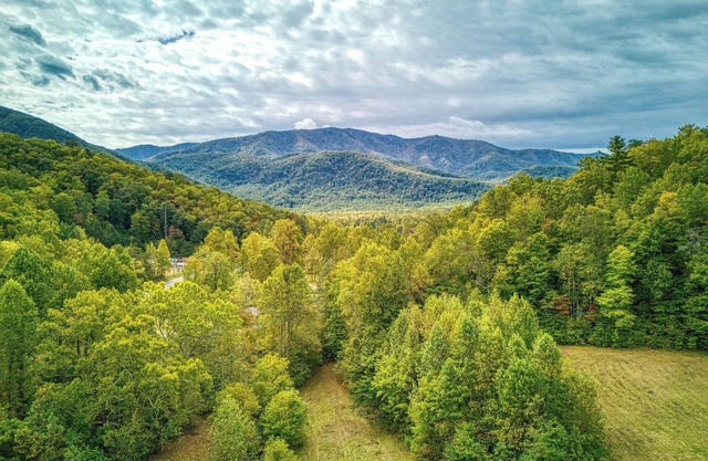 Getaway Cottage, Pickleball Court, Creek, WIFI, Mountain Views, Starting at $75