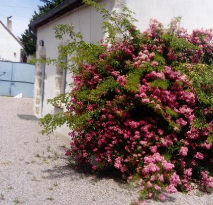 Gite de Marcureau