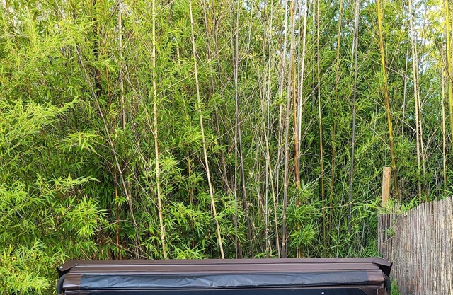 Gite de Montricoux - Large detached House with enclosed Garden