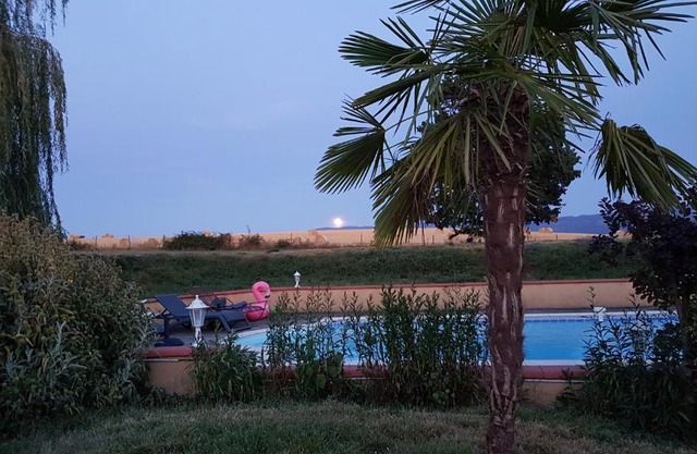 Gite et Piscine Tarn Domaine Des Vignes
