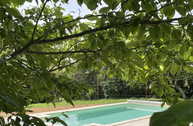 Gite Fargues, 1 bedroom, 4 persons