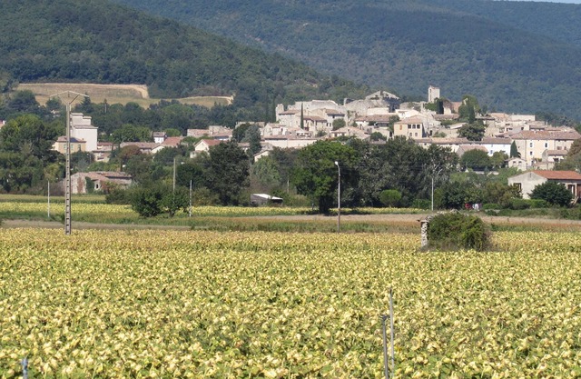 Gite in Provence