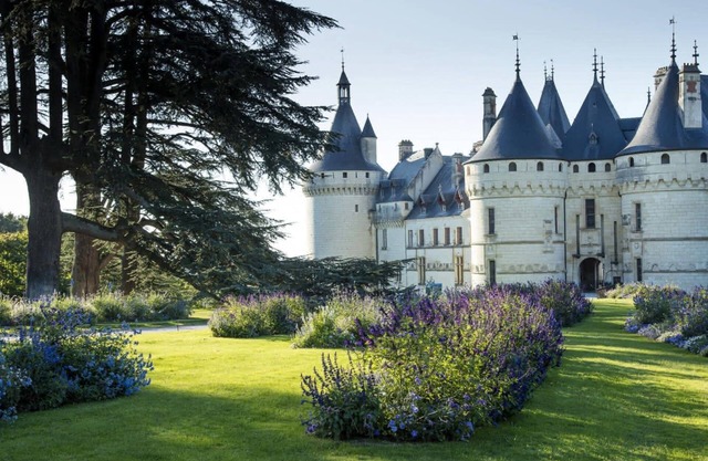 Gîte "la petite solognote" - Castles and Zoo of Beauval - 4 persons