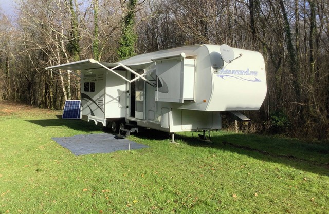 Glamping in the forest