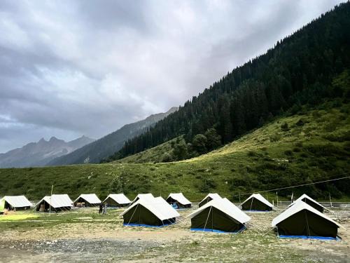 Glamping by Stay Pattern