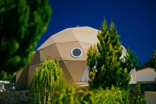 Glamping Finca El Pedregal