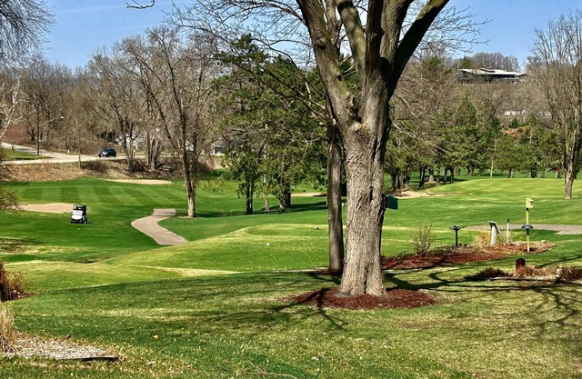 Golf view!