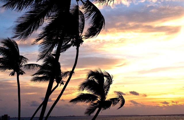 GOOD VIBES Botanical, Boho meet the Beach ,secluded beach with ocean views