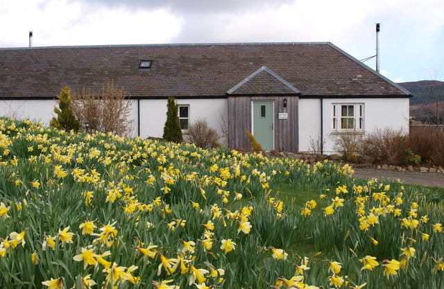 Gorgeous 2 Bed Cottage Near Glenshee. Hot tub, Garden, Child & Pet Friendly