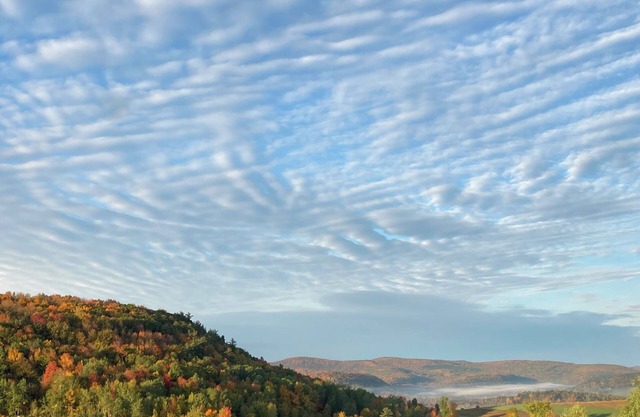 Gorgeous Country Escape for up to 10 in charming Cobleskill