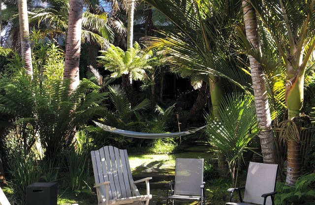 Gorgeous oasis, 4-bedroom house in San Francisco, walking distance to the bay.