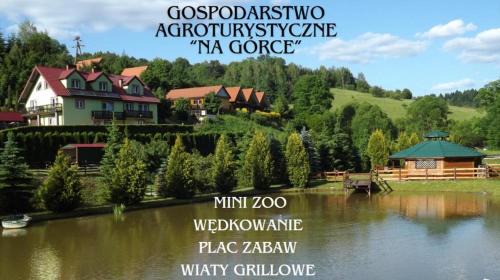 Gospodarstwo Agroturystyczne Na Górce pokój 3