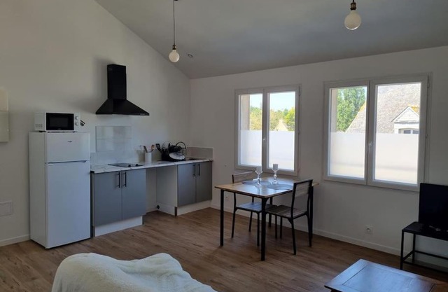 Grand appartement, lumineux