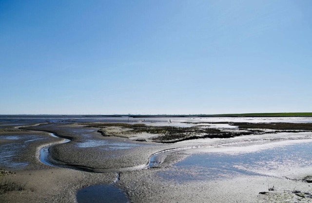 Grandpa Hans Modern retreat