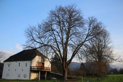 Grange KANDERATZEA