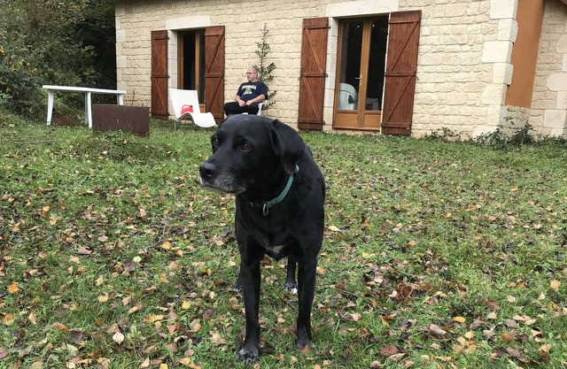 Grange rénovée dans un havre de paix