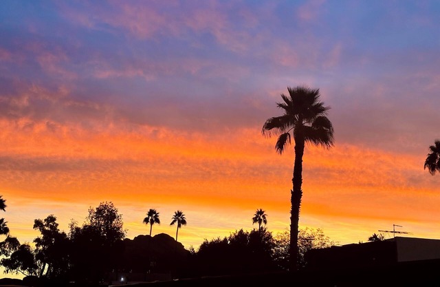 Great Location: 1-bedroom condo near PHX airport and Old Town Scottsdale.