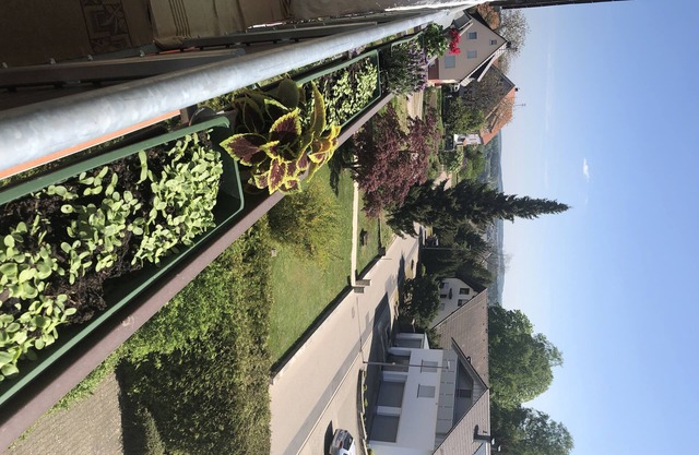 Great view in the Black Forest