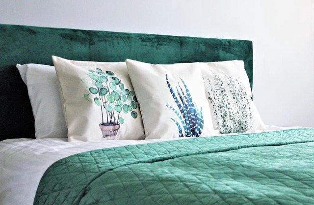 Green bed by the pine forest