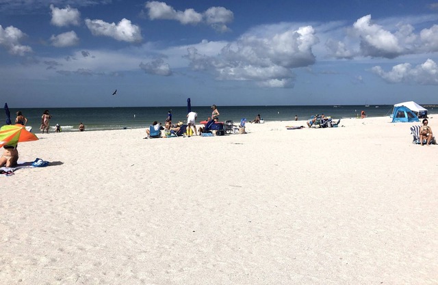 Green Turtle East - STEPS from the BEACH