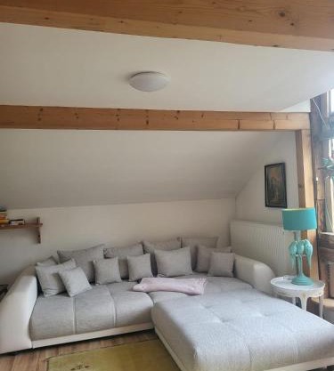 Großzügiges Studio-Apartment Siegblick 70qm mit XXL Balkon