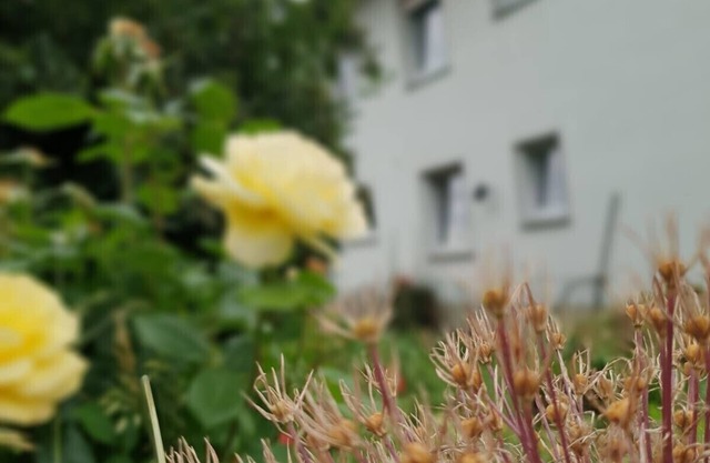 Group accommodation for nice meetings with friends, family and friends