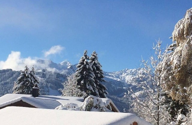 Gstaad - Luxury Flat in Schonried with Great Views