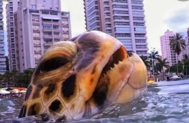 Guarujá Praia de Asturias charming apartment