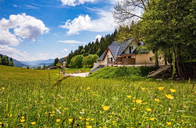 Guesthouse at Autrans, 11 persons, with a panoramic view over the Vercors