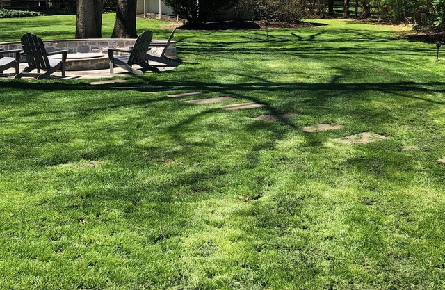 Guest cottage minutes from The Devon Horse Show