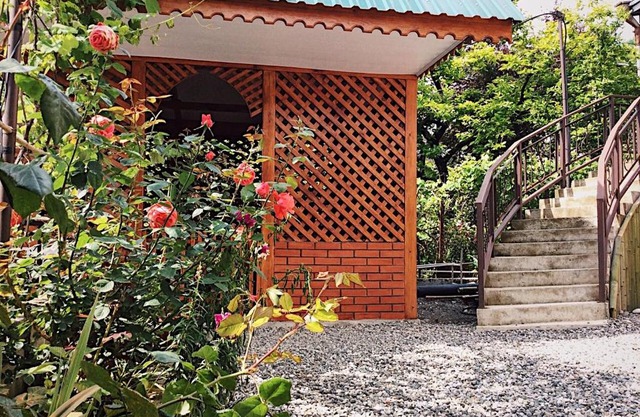 Guest House Elmas