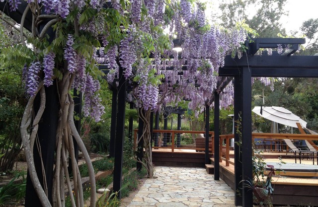 Guest House in Sunny Carmel Valley.