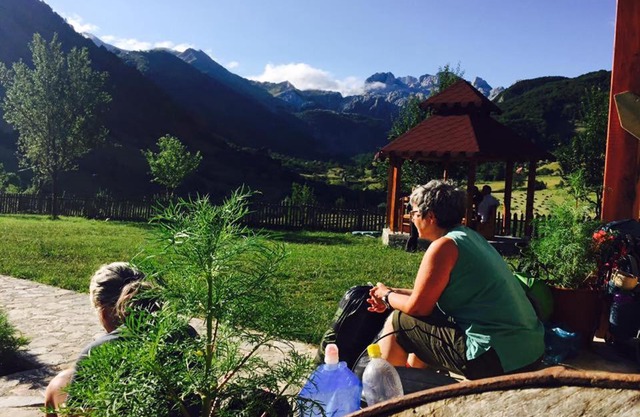 Guesthouse Alpini